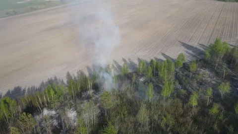 Fire in the field Stock Footage 194482290