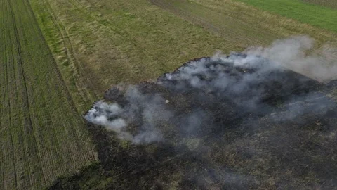 Fire in the field Stock Footage 194482347