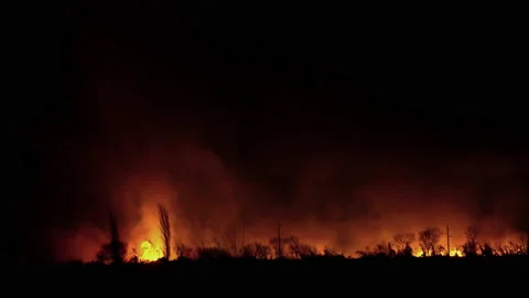 Fire in a field at night, burning of dry... | Stock Video | Pond5