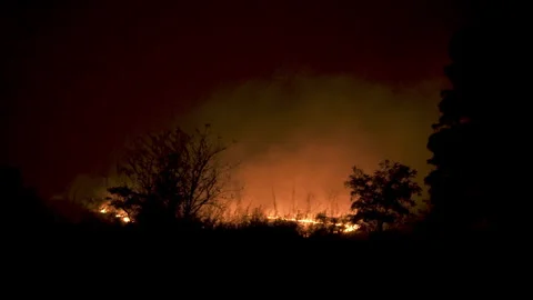 Fire on the field at night Stock Footage 257767574