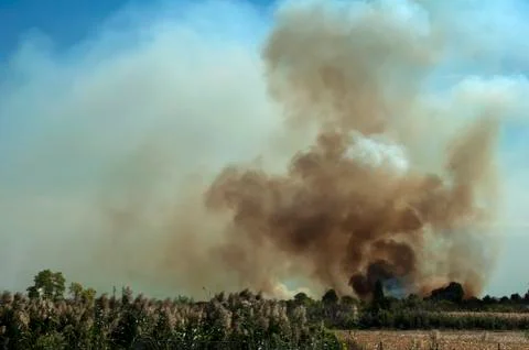 Fire in a field Fotos de archivo