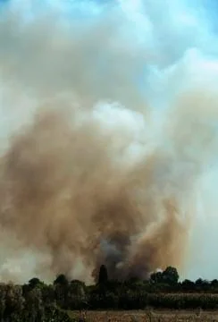 Fire in a field Stock Photos