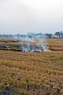 Fire in a field Stock Photos