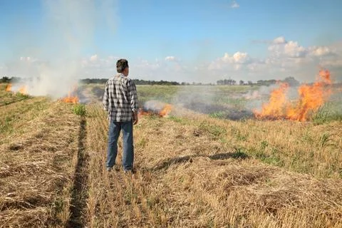 Fire in field 스톡 사진