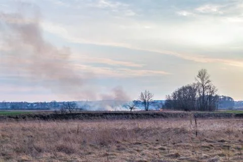 Fire on the field Stock Photos