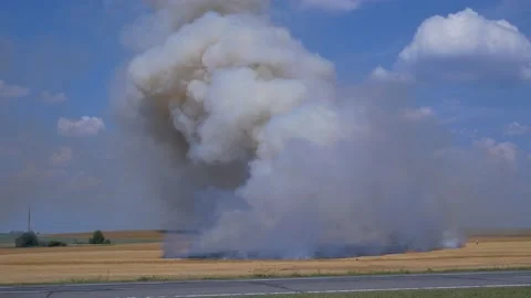 A fire, a field of ripe wheat is on fire, large clouds of smoke rise to the sky Stock Footage 159344620