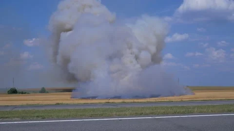 A fire, a field of ripe wheat is on fire, large clouds of smoke rise to the sky Stock Footage 159344658