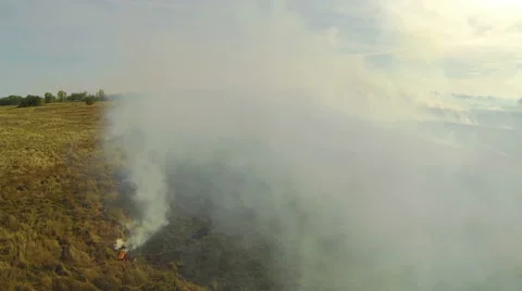 Fire in the field. Rotation Video stock 41976287