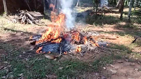 Fire in the field slow motion video Stock Footage 170298757