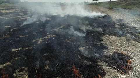 Fire in the field with smoke burning grass Stock Footage 149085727