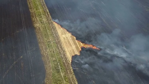 Fire in the field with stubble 库存影片 79835408