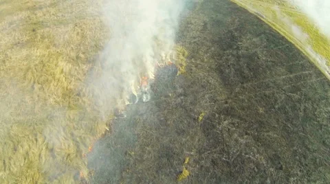 A fire in the field. Top-down view. Aerial 動画素材 41976747
