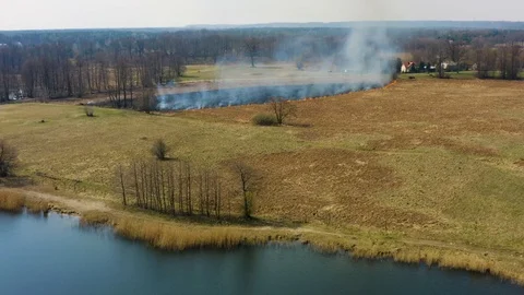Fire on the fields, burning grass aerial footage Stock Footage 106107141