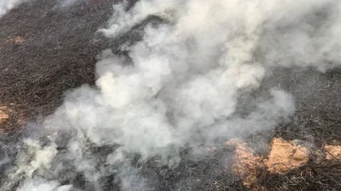 Fire in fields Video stock 156964356