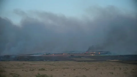 Fire in fields of  Santo Domingo de la Calzada. La Rioja. Spain Stock Footage 201499875