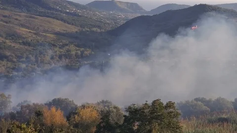 Fire fighter department helicopter working on nature save, 4k emergency Stock Footage 118643246
