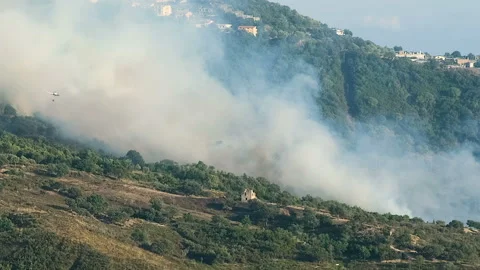 Fire fighter department helicopter working on summer malicious flames,emergency Stock Footage 137626041