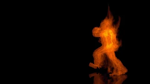 Fire Fighter Stock Footage 339286808