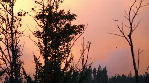 Fire Fighter Helicopter Dumping water on Forest Fire Stock Footage 41832230