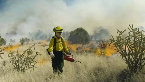Fire-fighter setting scrubland alight with drip-torch during prescribed burn Stock Footage 235671701