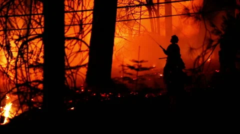 Fire Fighter spraying water on forest fire Stock Footage 41831885