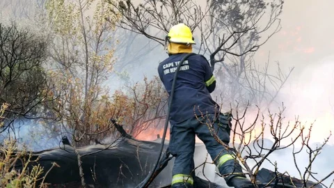 Fire fighter in yellow hat stands on blackened tree trunk with spraying hose Vidéo 102279202