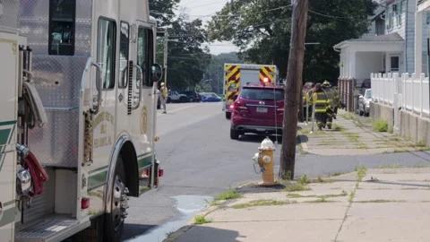 Fire fighters Stock Footage 251497552