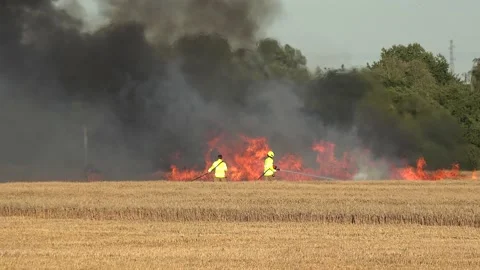 Fire fighters hosing down flames in a field in Ardleigh, Essex, UK. Stock Footage 138114701
