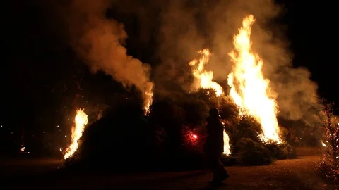 Fire fighters lighting huge stack of Christmas trees on fire Stock Footage 122306230