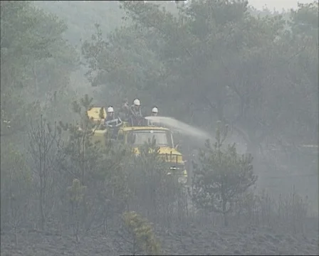 Fire fighters quenching wildfire from a moving vehicle in burning forest Stock Footage 44808068