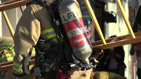 Fire fighters responding to burning building &amp; rescuing animals Stock Footage 209719577