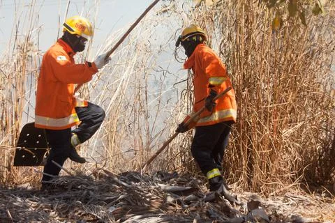 Fire fighters working on putting out blaze Stock Photos