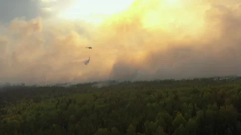 Fire fighting helicopter dropping water on forest fire Stock Footage 165062249