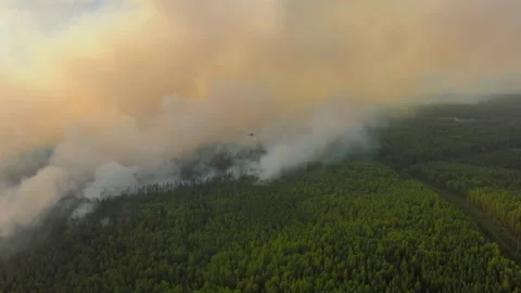 Fire fighting helicopter dropping water on forest fire Stock Footage 165915040