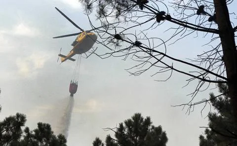 A fire fighting helicopter trying to put out the forest fire Stock Photos