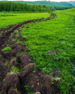 Fire-fighting moat bends through fields. quality photo Stock Photos