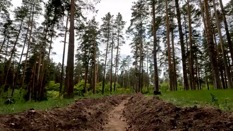 A fire-fighting moat in the forest. Protection from forest fires. Anti-fire. Video stock 277911021