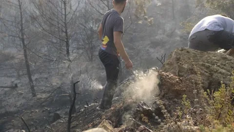 Fire fighting people on ground on Bodrum fire Mugla Bodrum Turkey. Vidéo 158458180