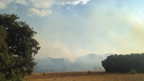 Fire-fighting plane 01 Stock Footage 80642226