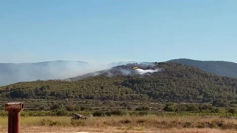 Fire fighting plane extinguishing a forest fire on the island of Hvar, Croatia Stockbeeldmateriaal 203841179