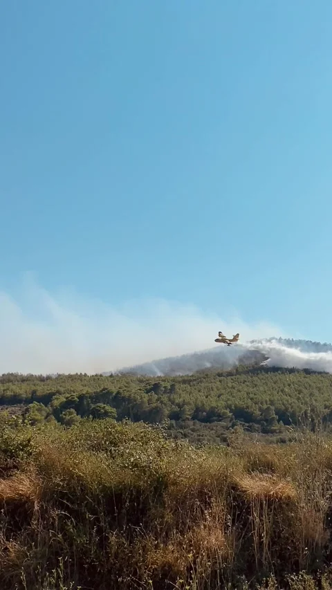 Fire fighting plane extinguishing a forest fire on the island of Hvar, Croatia Stock-Footage 203841180