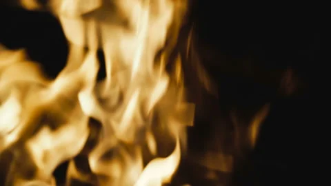 Fire. Fire from a fire Stock Footage 101331862