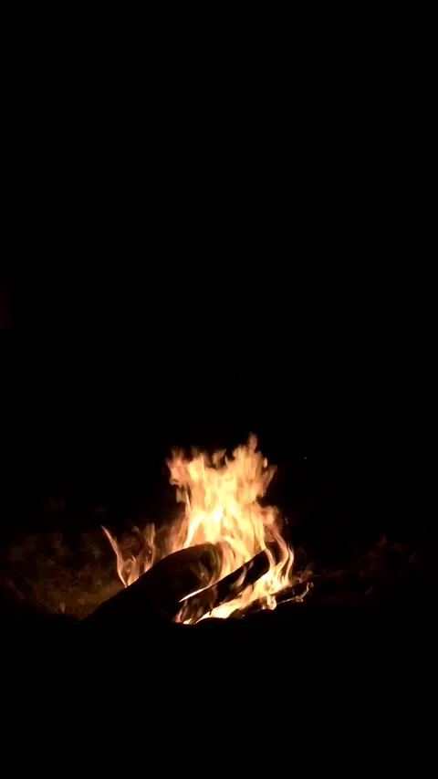 Fire Fire Fire Stock Footage 147471931