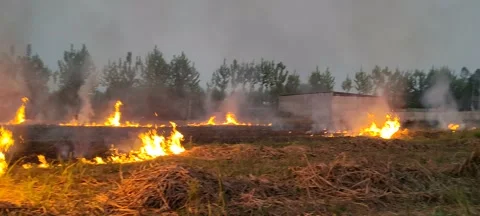 Fire fire Vídeos de archivo 238696054