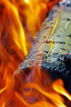 Fire is in a fire-place Stock Photos