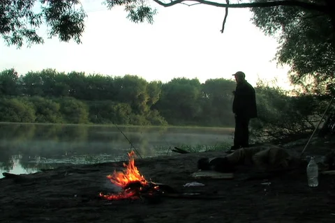 Fire, fire wood Видео 913739