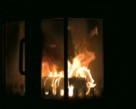 Fire in the fireplace 4 PAL Stock Footage 322151