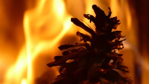 Fire in the fireplace. Burning bump. Stock Footage 102274683