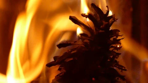 Fire in the fireplace. Burning bump. Stock Footage 102275605