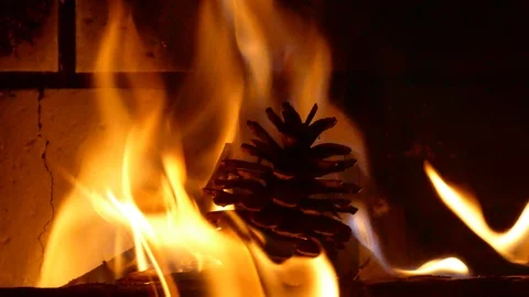 Fire in the fireplace. Burning bump. 動画素材 102275852